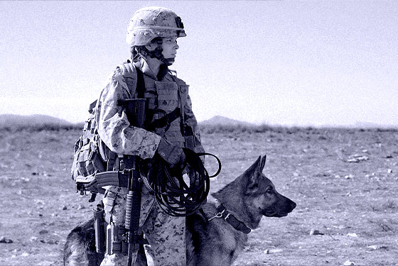 Duty, Courage, and a Canine Bond