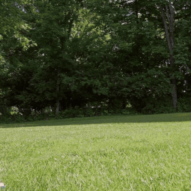 The Lawn Chair